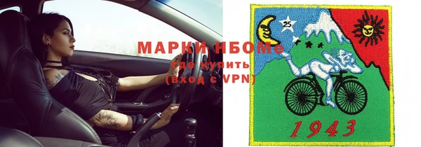 хмурый Каменка