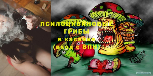 apvp Алексеевка