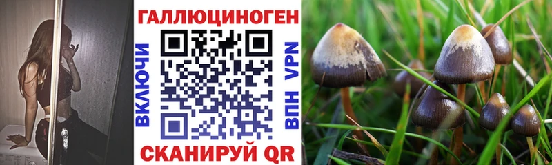 Галлюциногенные грибы GOLDEN TEACHER  наркошоп  Яхрома 
